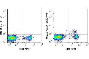 C57Bl/6 splenocytes were stained with APC Anti-Mouse CD4 (ABIN6961414), followed by intracellular staining with 0. (FOXP3 抗体  (FITC))