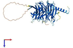 PREB Protein (AA 1-417) (His tag)