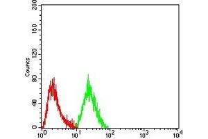 Flow cytometric analysis of Hela cells using CDKN2A/P16 mouse mAb (green) and negative control (red). (Tumor Suppressor ARF (CDKN2A) (AA 1-156) 抗体)