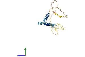 Protein Structure (PS) image for Hairy and Enhancer of Split 3 (HES3) (AA 1-175) protein (His tag) (ABIN7557724)