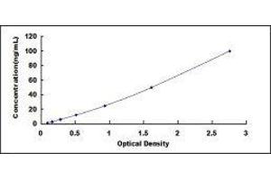 Gap Junction Protein, beta 2, 26kDa (GJB2) ELISA Kit