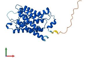 AlphaFold protein structure predicition of Mouse Recombinant Mip Protein, UniprotID P51180 (Mip (AA 1-263) protein (His tag))