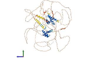 Protein Structure (PS) image for POU Domain, Class 2, Transcription Factor 1 (POU2F1) (AA 1-770) protein (His tag) (ABIN7563008)