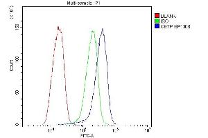 anti-Cholesteryl Ester Transfer Protein (CETP) (AA 77-353) antibody