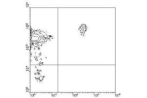 Image no. 1 for anti-CD45RB (CD45RB) antibody (FITC) (ABIN135234) (CD45RB 抗体  (FITC))