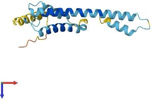 AlphaFold protein structure predicition of Human Recombinant STAG3L4 Protein, UniprotID Q8TBR4
