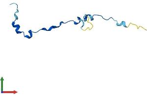 Protein Structure (PS) image for Anaphase Promoting Complex Subunit 13 (ANAPC13) (AA 1-74) protein (Fc Tag) (ABIN7559614)