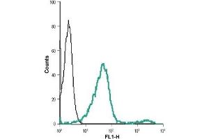 Cell surface detection of VPAC2 in live intact human Jurkat cell line: (black line) Cells + goat-anti-rabbit-DyLight-488. (VIPR2 抗体  (Extracellular))