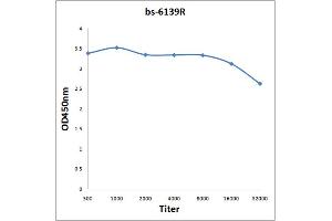 Antigen: 0. (KDM5B 抗体  (AA 65-165))