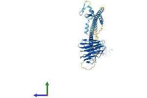 Protein Structure (PS) image for Tripartite Motif Containing 60 (TRIM60) (AA 1-466) protein (His tag) (ABIN7559948)