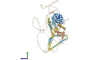 Protein Structure (PS) image for Sad1 and UNC84 Domain Containing 1 (SUN1) (AA 1-913) protein (His tag) (ABIN7564989)