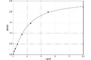 Myosin 9 (MYH9) ELISA Kit
