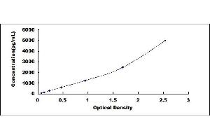 Typical standard curve (CKB ELISA 试剂盒)