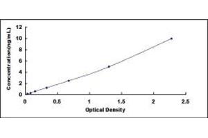 Typical standard curve (IL4I1 ELISA 试剂盒)