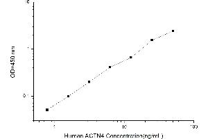 Typical standard curve (alpha Actinin 4 ELISA 试剂盒)