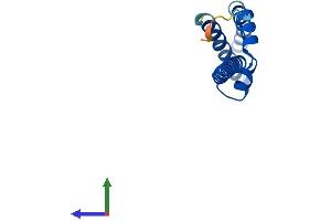 Protein Structure (PS) image for Mediator Complex Subunit 10 (MED10) (AA 1-135) protein (His tag) (ABIN7560728)