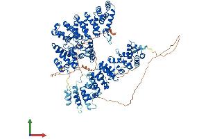 AlphaFold protein structure predicition of Mouse Recombinant Ints3 Protein, UniprotID Q7TPD0