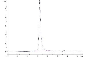 The purity of Biotinylated Human DKK3 is greater than 95 % as determined by SEC-HPLC.