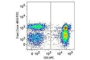 Flow Cytometry (FACS) image for anti-T-Bet antibody (FITC) (ABIN2661996) (T-Bet 抗体  (FITC))