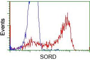 Flow Cytometry (FACS) image for anti-Sorbitol Dehydrogenase (SORD) antibody (ABIN1501073) (SORD 抗体)