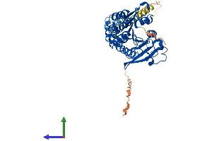 Protein Structure (PS) image for Abhydrolase Domain Containing 12 (ABHD12) (AA 1-398) protein (His tag) (ABIN7560384)