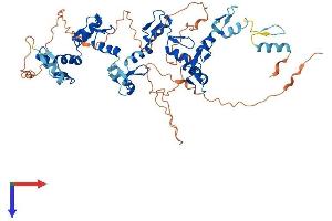 AlphaFold protein structure predicition of Human Recombinant ZNF329 Protein, UniprotID Q86UD4