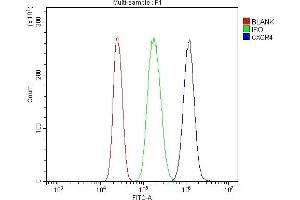 Flow Cytometry analysis of U937 cells using anti-CXCR4 antibody (ABIN7600411).