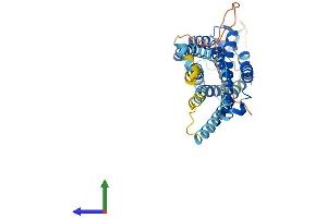 AlphaFold protein structure predicition of Mouse Recombinant Agtr1b Protein, UniprotID P29755