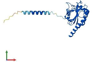 Protein Structure (PS) image for Glutathione Peroxidase 8 (GPX8) (AA 1-209) protein (His tag) (ABIN7548183)