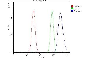 Flow Cytometry analysis of HELA cells using anti-MEF2C antibody (ABIN6719606).