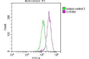Overlay histogram showing HepG2 cells stained with ABIN7127600 (red line) at 1:50. (Recombinant LGR5 抗体)