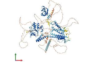 Protein Structure (PS) image for Potassium Voltage-Gated Channel, Subfamily H (Eag-Related), Member 2 (KCNH2) (AA 1-1162) protein (His tag) (ABIN7562285)