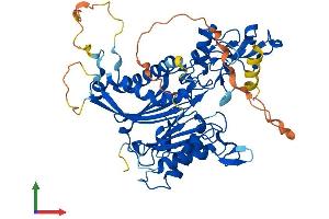 Protein Structure (PS) image for Protein Phosphatase 1J (PPM1J) (AA 1-505) protein (His tag) (ABIN7550865)