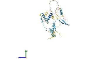 AlphaFold protein structure predicition of Mouse Recombinant Hyls1 Protein, UniprotID Q9CXX0 (HYLS1 Protein (AA 1-307) (His tag))