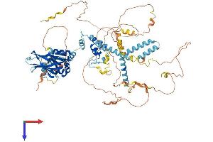 PIK3AP1 Protein (AA 1-805) (His tag)