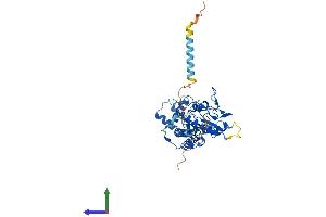 Protein Structure (PS) image for Heparan Sulfate 6-O-Sulfotransferase 1 (HS6ST1) (AA 1-411) protein (His tag) (ABIN7548256)