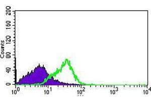 Flow cytometric analysis of HEK293 cells using DNAL4 mouse mAb (green) and negative control (purple). (DNAL4 抗体  (AA 1-105))