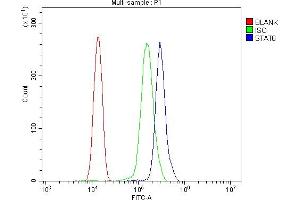 Flow Cytometry analysis of THP-1 cells using anti-STAT6 antibody (ABIN7600129).