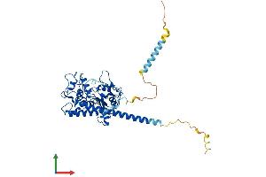 Protein Structure (PS) image for Heparan Sulfate 6-O-Sulfotransferase 1 (HS6ST1) (AA 1-411) protein (His tag) (ABIN7561796)