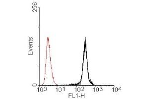 Overlay histogram of BMP4 staining Caco-2 cells.