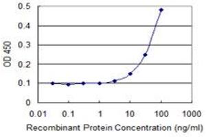 Detection limit for recombinant GST tagged EPHB2 is 3 ng/ml as a capture antibody. (EPH Receptor B2 抗体  (AA 226-325))