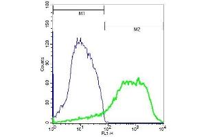 Flow Cytometry (FACS) image for anti-Inhibitor of kappa Light Polypeptide Gene Enhancer in B-Cells, Kinase epsilon (IKBKE) (pSer172) antibody (ABIN1387735)