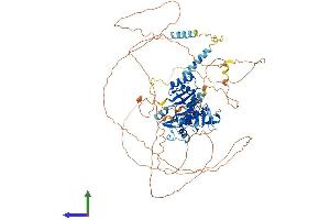 Protein Structure (PS) image for Microcephalin 1 (MCPH1) (AA 1-822) protein (His tag) (ABIN7558307)