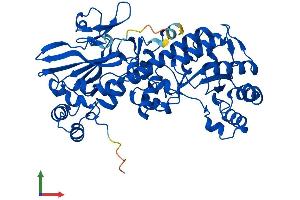 Protein Structure (PS) image for Nicotinamide phosphoribosyltransferase (NAMPT) (AA 1-491) protein (His tag) (ABIN7564888)