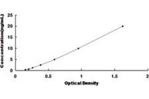ELISA image for Corticotropin Releasing Hormone Receptor 2 (CRHR2) ELISA Kit (ABIN6955089)