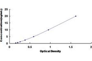 Typical standard curve (CRHR2 ELISA 试剂盒)