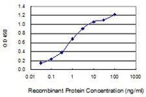 Detection limit for recombinant GST tagged SLC35B2 is 0. (SLC35B2 抗体  (AA 1-100))