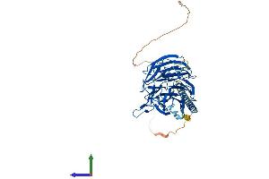 AlphaFold protein structure predicition of Human Recombinant RRP9 Protein, UniprotID O43818