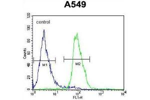 Flow Cytometry (FACS) image for anti-DDB1 and CUL4 Associated Factor 10 (DCAF10) (AA 118-148), (N-Term) antibody (ABIN955549)