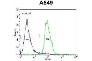 WDR32 Antibody (N-term) flow cytometric analysis of A549 cells (right histogram) compared to a negative control cell (left histogram).